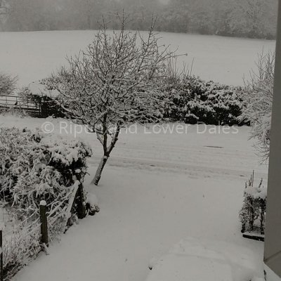 View from the office window